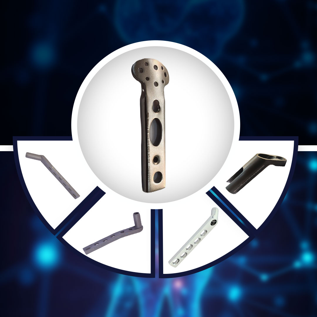 DHS-DCS & FNS System Manufacturer in Taloja